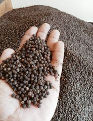 Black Pepper 550gl – product photo 1, product detail gallery