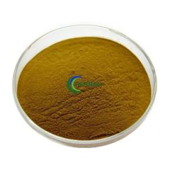 Herbal Extract Tangerine Seed Extarct Semen Citri Reticulatae - Image 2