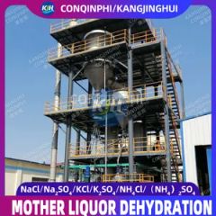 Deep Dehydrator Machine Mother Liquor Drying Equipment Liquid Dryer - Image 6
