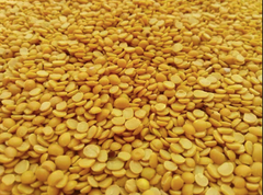 Organic Yellow Arhar Lentil - Image 4