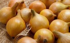 Onion – product photo 2, product detail gallery