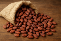Ugandan Premium Cocoa Beans (Sun-Dried / Fermented) - Image 1