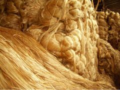 Golden jute - Image 1