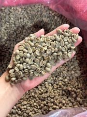 VIETNAM ROBUSTA COFFEE GRADE 1 S16 & S18 – product photo 1, product detail gallery