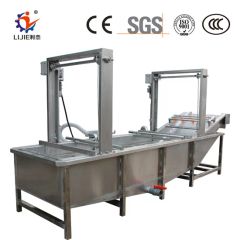 Fruit Vegetable Ozone Washing Cleaning Machine Line Name Washer Power 0.75KW Color Silver Trademark LIJIE Capacity - Image 1