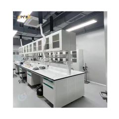 Lab Furniture Rack System Table Laboratory Bench Price Origin China Condition New Trademark TOPFEA Model NO. ZJIB001 HS Code - Image 2