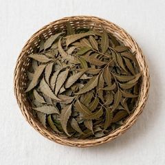 Dried Neem Leaves – product photo 1, product detail gallery