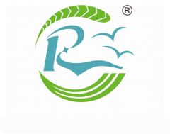 RUNFENDDA INDUSTRIAL CO., LIMITED