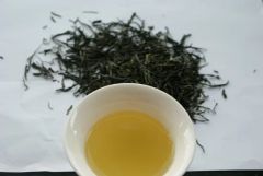 Wholesale Detox Slimming Tea Beautiful Pine Needle Green Tea - Image 4