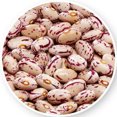 SPECKLED RED BROWN SUGAR BEANS - BULK PREMIUM GRADE - Image 2