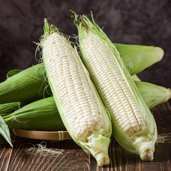 Fast Delivery Premium White Corn Maize Non Gmo 50kg Strong Packaging Clean White Kernels High Starch Content Ideal For Flour Production Feed And Export Trade Buy Now Wholesale Premium Quality - Image 5