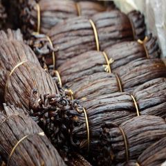 Madagascar Vanilla Beans - Black Madagascar Vanilla beans - Vanilla Bean Wholesale Supply - Image 5