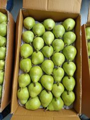 Fresh Premium Pears available for immediate export from South Africa! CLASS 1 Export Quality!! - Image 5