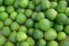 Fresh Lemon Origin Uganda Quality Grade Grade A Minimum Order Quantity 500kg Storage Temperature 4°c Or Below Packaging Nylon Bag - Packed, 100kg Per - Image 1