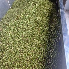 Buy Premium Spices Green Cardamom 7mm–9mm Grade A, 25Kg Jute Bags Whole Green Cardamom Ready Export - Image 2