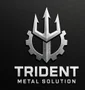 Trident Metal Solution