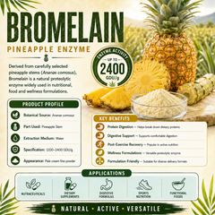 Bromelain Enzyme Powder | 1200 - 2400 GDU/g | Bulk Stem & Fruit Proteolytic Extract - Image 1