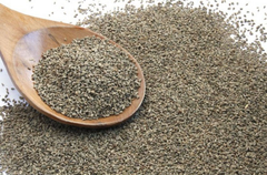 Premium quality Ajwain Seeds for Wholesale supplies - Image 1