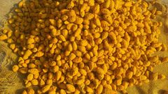 Double polish Turmeric whole Color Deep Golden Hue Flavor Earthy Fragrance Packaging 50 kg jute bag Shelf Life Long Shelf Life - Image 2