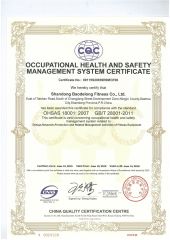 OCCUPATIONAL HEALTH AND SAFETY MANAGEMENT SYSTEM CERTIFICATE certificate from Shandong Baodelong Fitness Co., Ltd.