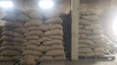 Cocoa Beans – product photo 3, product detail gallery