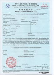 Phy certificate from ZHANGZHOU XIANGCHENG GREENHOME HORTICULTURE CO., LTD