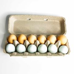 Chicken Eggs Supplier for Food Processing Industry with Reliable Quality and Stable Supply - Image 2