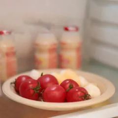 Hot Sale Biodegradable Sugarcane Bagasse Plates Paper Cup Cutlery Compostable Disposable Tableware Suit - Image 5