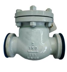 High-Quality Swimming Pool Check Valve for Optimal Flow Control - Image 2