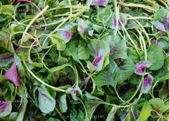 Frozen Amaranth Leaves (Biteku) - Image 2