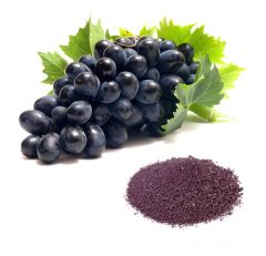 Premium Grape Powder | Natural Fruit Powder for Beverages, Bakery & Food Manufacturing - Image 3
