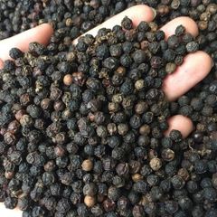 Black Pepper 550GL FAQ – product photo 1, product detail gallery