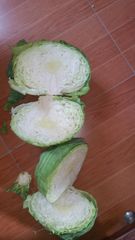Agritec Fresh Cabbage: Crisp, Naturally Grown, and Vitamin-Rich – product photo 3, product detail gallery