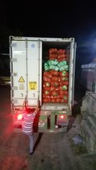 Agritec Fresh Cabbage: Crisp, Naturally Grown, and Vitamin-Rich – product photo 8, product detail gallery