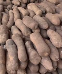 Yam - Image 2