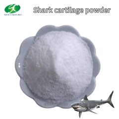Common Shark Cartilage Extract Powder Low Price - Image 3