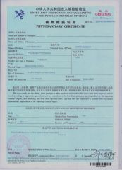 Phytosanitary Certificate certificate from Caoxian Lishengda Wood Industry Co., Ltd.