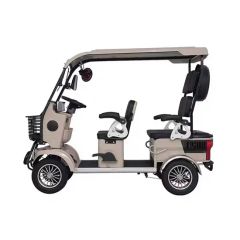 Factory New Export Electric Cart Golf Course Club 4 Seater Sightseeing Car - Tianjin Holladay Technology Co., Ltd.
