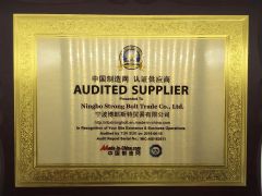 TUV certificate from Ningbo Strong Bolt Trade Co., Ltd.