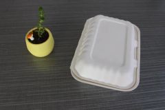 Disposable 9 X 6 X 3 Food Takeaway Box Sugarcane Food Container Tableware - Image 3
