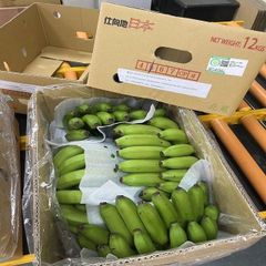 Natural Fresh Cavendish Banana Export from Vietnam with Consistent Quality for Global Wholesale Buyers - Image 1