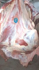 100%  Fresh Chilled Bull Beef - Image 8