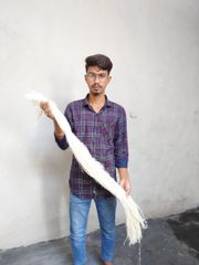 Pineapple Fiber - Image 2