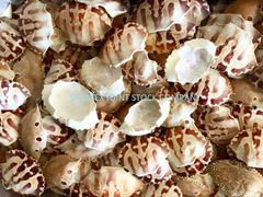 Dried Crab Shell - Image 1