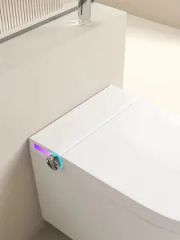 Europe Design Styles CE Certificate Wall-Hunge and Bidets Intelligent Smart Toilets - Image 6