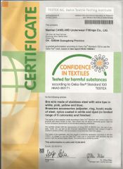 Certificate of Caslands bra adjuster certificate from Foshan Casland Garments Co., Ltd.