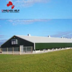 Modernization Steel Structure Building Chicken Coop for Poultry Farming - Image 4