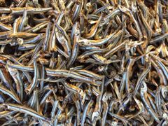 Dried Anchovies Tanzania Wholesale - Premium Quality Export - Image 4