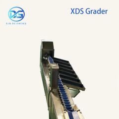 Persimmon Sorting Machine for Fruit Washing Packing Origin China Power 3.75kw Model NO. 0201 HS Code 84223000 Voltage - Image 4