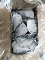 Frozen Moonfish Frozen Seafood Sea Frozen Fish - Image 3